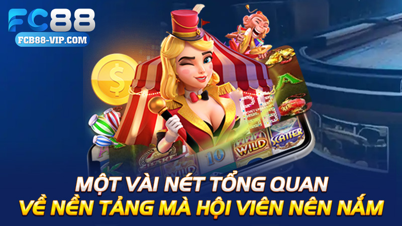Một vài nét tổng quan về nền tảng mà hội viên nên nắm